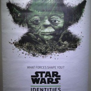 Star Wars Identity Poster: What force shape you? YODA